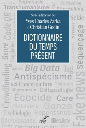 DICTIONNAIRE DU TEMPS PRESENT - ZARKA YVES-CHARLES - CERF