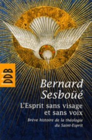 ESPRIT SANS VISAGE ET SANS VOIX - SESBOUE BERNARD - Desclee De Brouwer