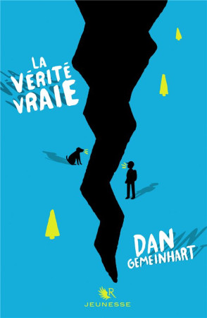 VERITE VRAIE - GEMEINHART DAN - R. Laffont