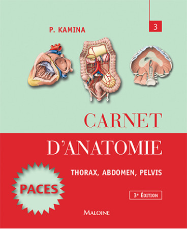 CARNET D ANATOMIE T3 THORAX ABDOMEN PELVIS 3ED - Pierre Kamina - MALOINE