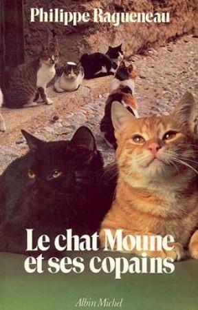 CHAT MOUNE ET SES COPAINS - RAGUENEAU PHILIPPE - ALBIN MICHEL