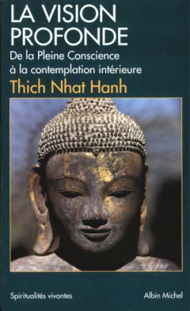 VISION PROFONDE - NHAT HANH THICH - ALBIN MICHEL