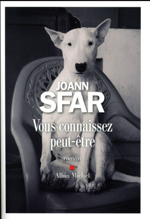 VOUS CONNAISSEZ PEUT-ETRE - SFAR JOANN - Albin Michel