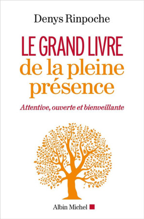 GRAND LIVRE DE LA PLEINE PRESENCE - RINPOCHE DENYS - ALBIN MICHEL