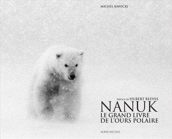 NANUK / LE GRAND LIVRE DE L-OURS POLAIRE - RAWICKI ET REEVES - ALBIN MICHEL