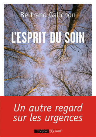 ESPRIT DU SOIN (L-) - GALICHON BERTRAND - BAYARD CULTURE