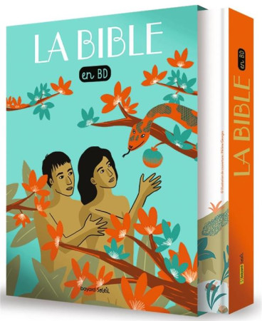 BIBLE EN BD (RELIE + COFFRET) NE - LES PLUS CELEBRES RECITS DE LA BIBLE EN BD - BOULET/ABOLIVIER - BAYARD CULTURE