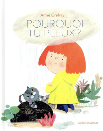 POURQUOI TU PLEUX ? - CRAHAY ANNE - DIDIER