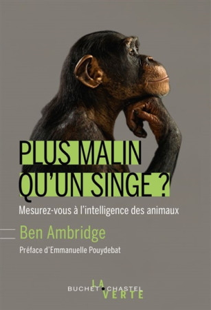 PLUS MALIN QU-UN SINGE ? - AMBRIDGE BEN - BUCHET CHASTEL