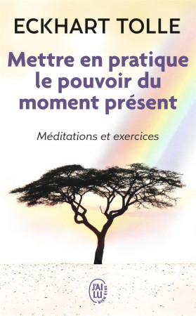 METTRE EN PRATIQUE LE POUVOIR DU MOMENT PRE SENT - TOLLE ECKHART - J'AI LU