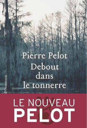 DEBOUT DANS LE TONNERRE - PELOT PIERRE - Ed. Héloïse d'Ormesson