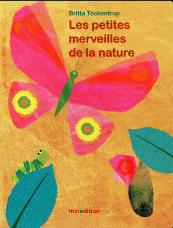 PETITES MERVEILLES DE LA NATURE - TECKENTRUP B. - Minedition