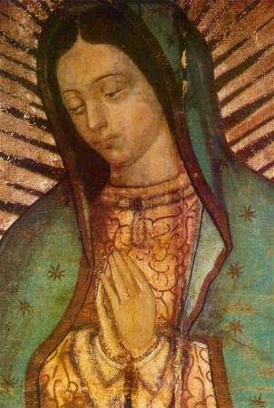 IMAGE NOTRE DAME DE GUADALUPE PAR LOT DE 20 - NC - NC