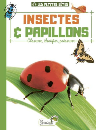 INSECTES ET PAPILLONS - DELVAILLE ALICE - GRENOUILLE