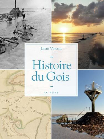 HISTOIRE DU GOIS - VINCENT JOHAN - GESTE