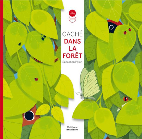 CACHE DANS LA FORET - PELON SEBASTIEN - AMATERRA