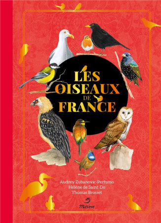 OISEAUX DE FRANCE (LES) - BROSSET/DE SAINT-DO - METIVE