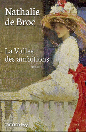 VALLEE DES AMBITIONS - Nathalie Broc - CALMANN-LEVY