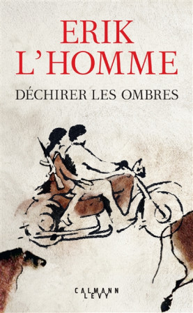 DECHIRER LES OMBRES - L-HOMME ERIK - CALMANN-LEVY