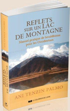 VIE QUOTIDIENNE COMME PRATIQUE MEDITATIVE ( LA) - PALMO TENZIN - Courrier du livre