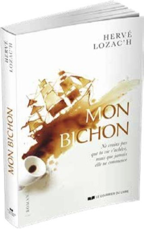 BICHON (MON) - LOZAC-H HERVE - COURRIER LIVRE