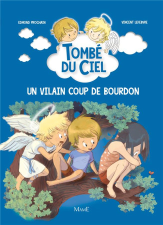 VILAIN COUP DE BOURDON TOMBE DU CIEL T5 - PROCHAIN EDMOND - Mame