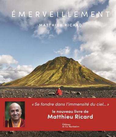 EMERVEILLEMENT - SE FONDRE DANS L-IMMENSITE DU CIEL... - RICARD MATTHIEU - MARTINIERE BL