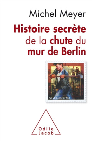 HISTOIRE SECRETE DE LA CHUTE DU MUR DE BERLIN - MEYER MICHEL - JACOB