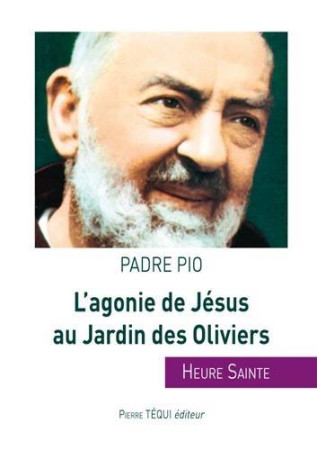 AGONIE DE JESUS AU JARDIN DES OLIVIERS - PADRE PIO SAINT - TEQUI