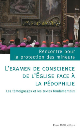 EXAMEN DE CONSCIENCE DE L-EGLISE FACE A LA PEDOPHILIE - RENCONTRE POUR LA PR - TEQUI