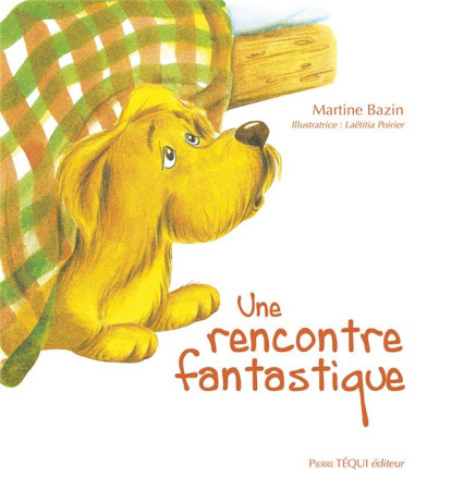 UNE RENCONTRE FANTASTIQUE - EDITION ILLUSTREE - BAZIN ET POIRIER - TEQUI