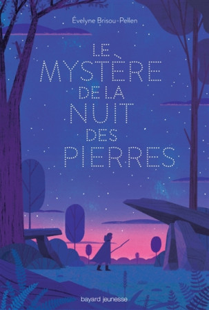 MYSTERE DE LA NUIT DES PIERRES - BRISOU-PELLEN EVELYN - Bayard Jeunesse