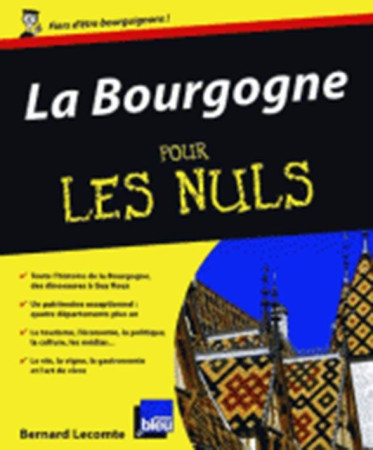 LA BOURGOGNE POUR LES NULS - LECOMTE/JULAUD - First Editions