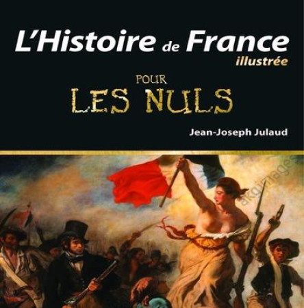 HISTOIRE DE FRANCE ILLUSTREE POUR LES NULS - JULAUD JEAN-JOSEPH - First Editions