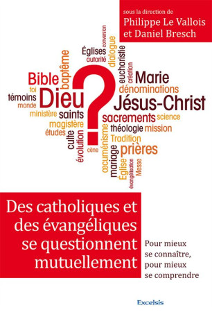 DES CATHOLIQUES ET DES EVANGELIQUES SE QUES TIONNENT - COLLECTIF - Excelsis