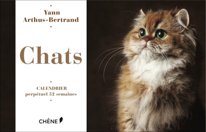 CALENDRIER 52 SEMAINES CHATS - ARTHUS-BERTRAND YANN - Chêne