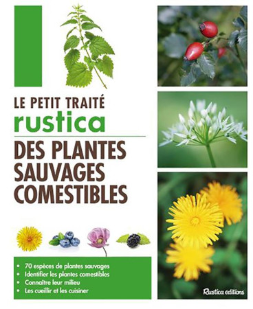 PETIT TRAITE DES PLANTES SAUVAGES COMEST IBLES - MONPLAISIR CHRISTOPH - Rustica