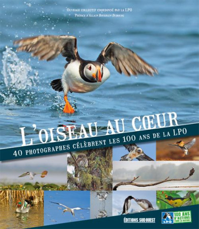 L-OISEAU AU COEUR - COLLECTIF - SUD OUEST