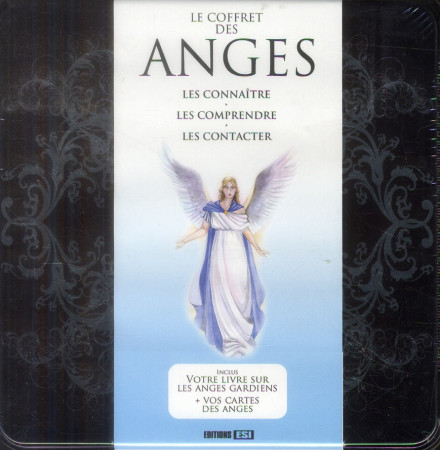 GRAND COFFRET METAL DES ANGES (LE) - BROZINSKA ANASTAS. - ESI