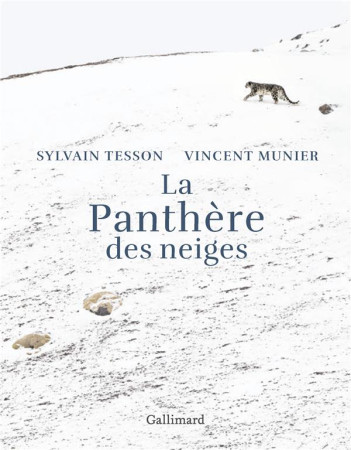 LA PANTHERE DES NEIGES (VERSION ILLUSTREE) - TESSON SYLVAIN - GALLIMARD