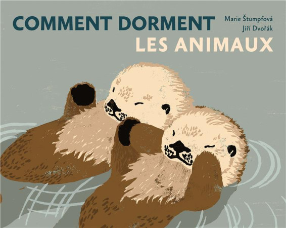 COMMENT DORMENT LES ANIMAUX (TP) - DVORAK/STUMPFOVA - BOOKS ON DEMAND