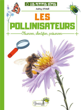 LES POLLINISATEURS - XXX - GRENOUILLE