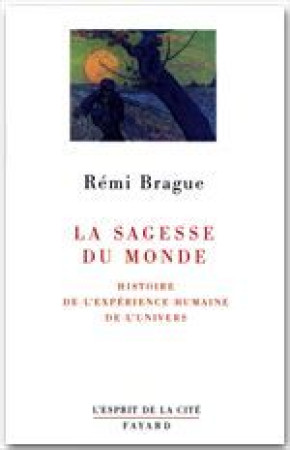 SAGESSE DU MONDE (LA) - BRAGUE REMI - FAYARD