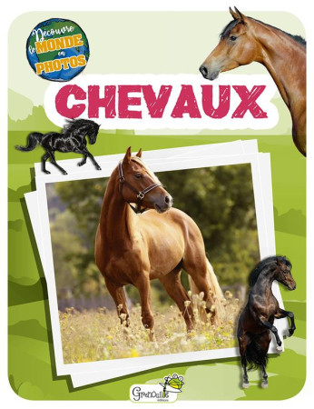 CHEVAUX - DECOUVRE LE MONDE EN PHOTOS - COLLECTIF - GRENOUILLE