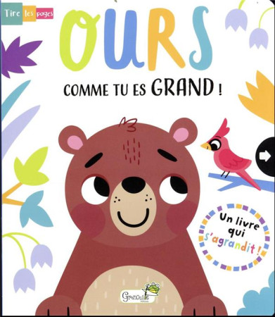 OURS COMME TU ES GRAND ! - XXX - GRENOUILLE