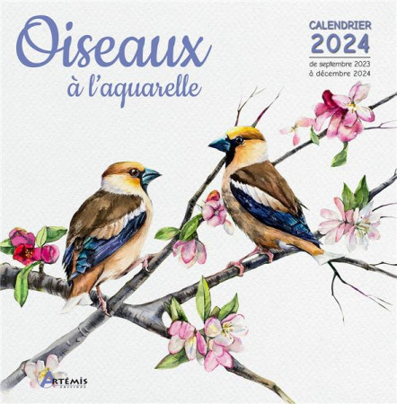 CALENDRIER OISEAUX A L-AQUARELLE 2024 - COLLECTIF - NC