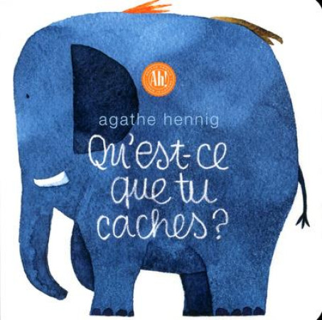 QU-EST CE QUE TU CACHES ? - HENNIG AGATHE - AH EDITIONS