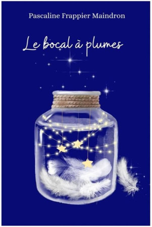 LE BOCAL A PLUMES - FRAPPIER MAINDRON P. - LIBRINOVA