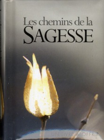 CHEMINS DE LA SAGESSE (LE) - GF - EXLEY - EXLEY