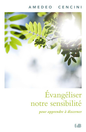 EVANGELISER NOTRE SENSIBILITE POUR APPRENDRE A DISCERNER - AMEDEO CENCINI - BEATITUDES